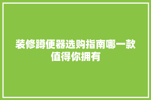 装修蹲便器选购指南哪一款值得你拥有