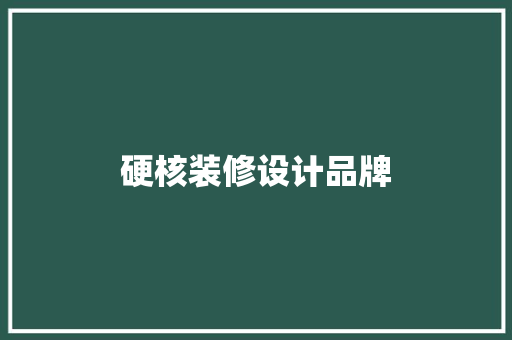 硬核装修设计品牌