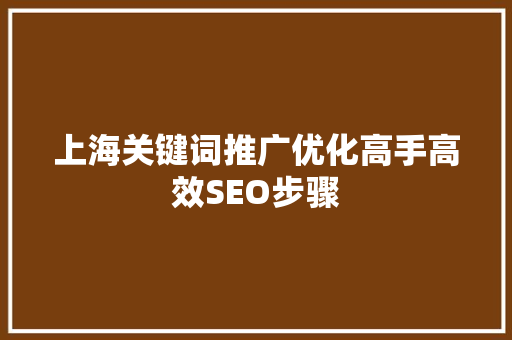 上海关键词推广优化高手高效SEO步骤  第1张