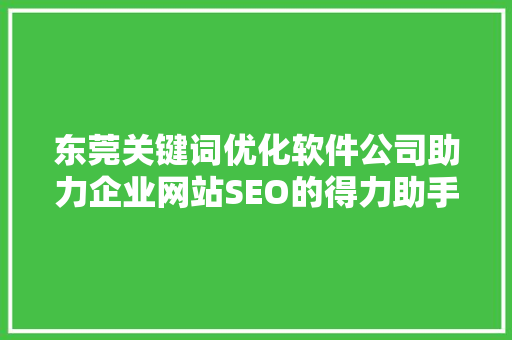 东莞关键词优化软件公司助力企业网站SEO的得力助手