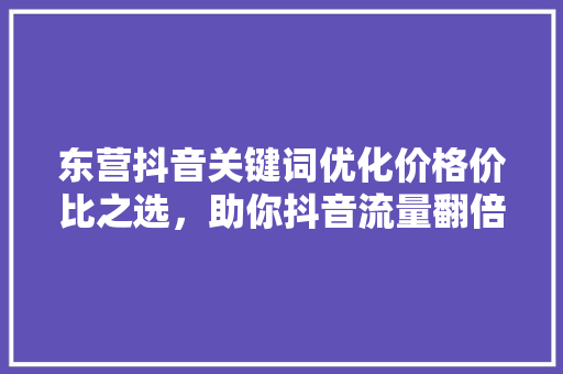 东营抖音关键词优化价格价比之选，助你抖音流量翻倍