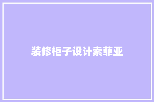 装修柜子设计索菲亚