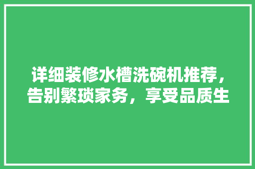 详细装修水槽洗碗机推荐，告别繁琐家务，享受品质生活