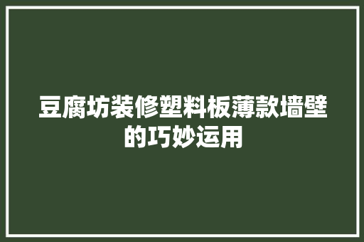 豆腐坊装修塑料板薄款墙壁的巧妙运用