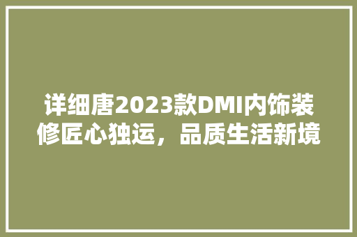 详细唐2023款DMI内饰装修匠心独运，品质生活新境界
